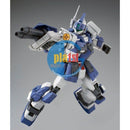 Brand New P-BANDAI MG 1/100 GUNDAM GM DOMINANCE
