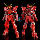 Brand New Unopen P-BANDAI MG 1/100 TESTAMENT GUNDAM