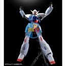 Brand New P-BANDAI MG 1/100 TURN A GUNDAM/TURN X GUNDAM [nano skin image] SET