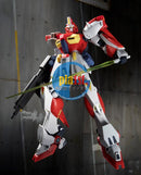 Brand New P-BANDAI MG 1/100 Gundam F90 Mars Independent Zeon Forces Type Plastic