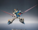 Brand New Unopen BANDAI ROBOT SPIRITS (Ka signature) PROTOTYPE RICK DIAS