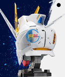Brand New BANDAI BN Head Collection Vol.2 Strike Freedom Gundam Figure