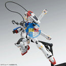 Brand New P-BANDAI MG 1/100 Crossbone Gundam X-1 X1 Patchwork Ver.ka