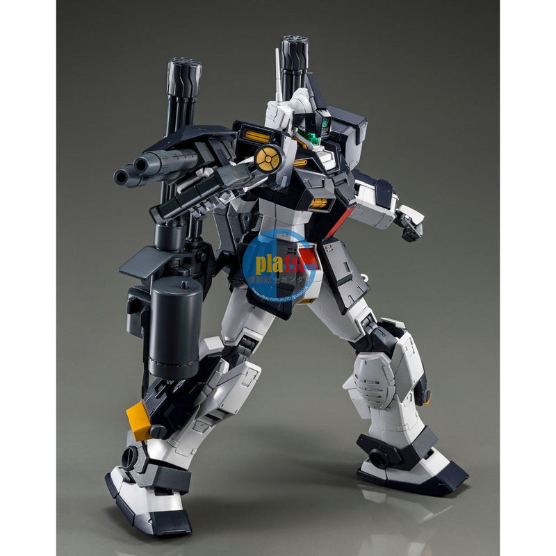 Brand New P-BANDAI MG 1/100 GUNDAM GM Dominance (Philip Hughes custom)