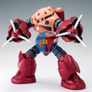 Brand New P-BANDAI HG 1/144 GUNDAM AMAZING Z'GOK