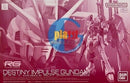 Brand New Unopen P-BANDAI RG 1/144 DESTINY IMPULSE GUNDAM