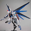 BANDAI SDEX FREEDOM GUNDAM Ver.GCP + FM 1/100 FREEDOM GUNDAM Ver.GCP (TWIN SET)