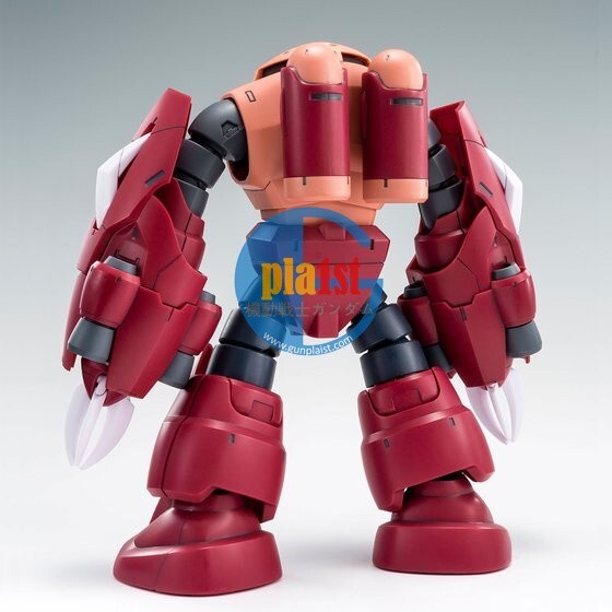 Brand New P-BANDAI HG 1/144 GUNDAM AMAZING Z'GOK
