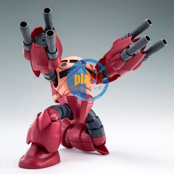Brand New P-BANDAI HG 1/144 GUNDAM AMAZING Z'GOK