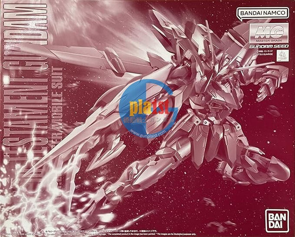 Brand New Unopen P-BANDAI MG 1/100 TESTAMENT GUNDAM