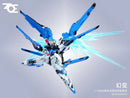 Brand New ZOE MODEL MG 1/100 Phantom Transformation (with Metal Inner Frame)