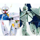 Brand New P-BANDAI MG 1/100 TURN A GUNDAM/TURN X GUNDAM [nano skin image] SET