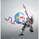 Brand New Bandai P-Bandai Robot Spirits Crossbone Gundam: Ghost Gundam Figure