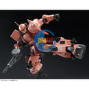 Brand New P-BANDAI RG 1/144 HIGH MOBILITY TYPE ZAKU II (TEAM MONSTRE CUSTOM)