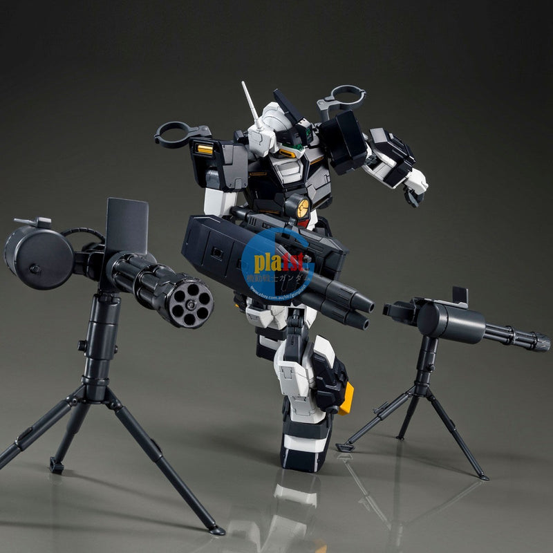 Brand New P-BANDAI MG 1/100 GUNDAM GM Dominance (Philip Hughes custom)
