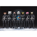 New P-BANDAI S.H.F KAMEN RIDER DESIRE GRAND PRIX! ENTRY RAISE SET (HELMET ONLY)