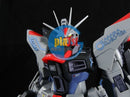 Brand New Bandai MG 1/100 Strike Freedom Gundam Kunio Okawara Exhibition Ver