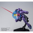 Brand New Unopen P-BANDAI HG 1/144 GUNDAM LEO (SPACE TYPE)