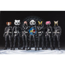 New P-BANDAI S.H.F KAMEN RIDER DESIRE GRAND PRIX! ENTRY RAISE SET (HELMET ONLY)