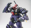 Brand New QIANHUI Model MG 1/100 DOM Demon Tianmo Plastic Kit