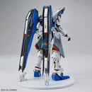 BANDAI SDEX FREEDOM GUNDAM Ver.GCP + FM 1/100 FREEDOM GUNDAM Ver.GCP (TWIN SET)