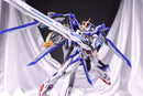 Brand New ZZA Model Blue Flame CH-01 (MG Size) Plastic Kit